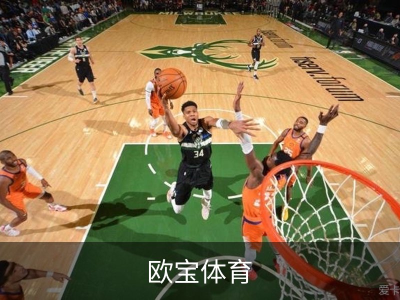 欧宝体育介绍